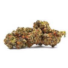 ALASKAN THUNDERFUCK THCA HEMP FLOWER